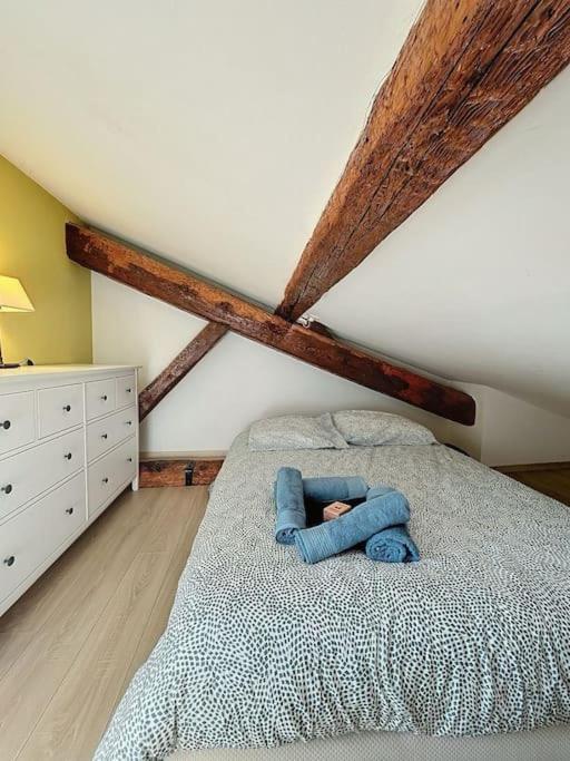 Le chalet des Carmes - Charmant T4 Hypercentre - Appartamento con 3 Camere da Letto - 11