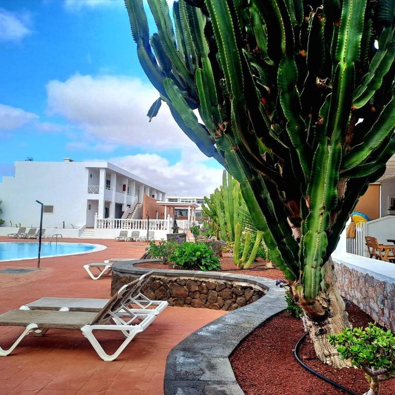 Beautiful Sunset Lanzarote - Apartamento de 1 dormitorio - 23