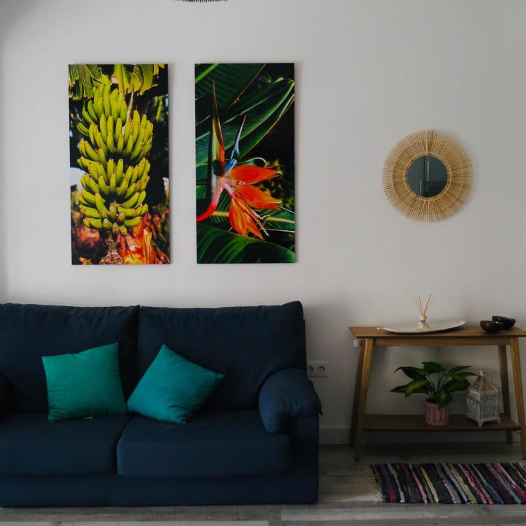 Macaronesia Home - Apartamento de 2 dormitorios - 3