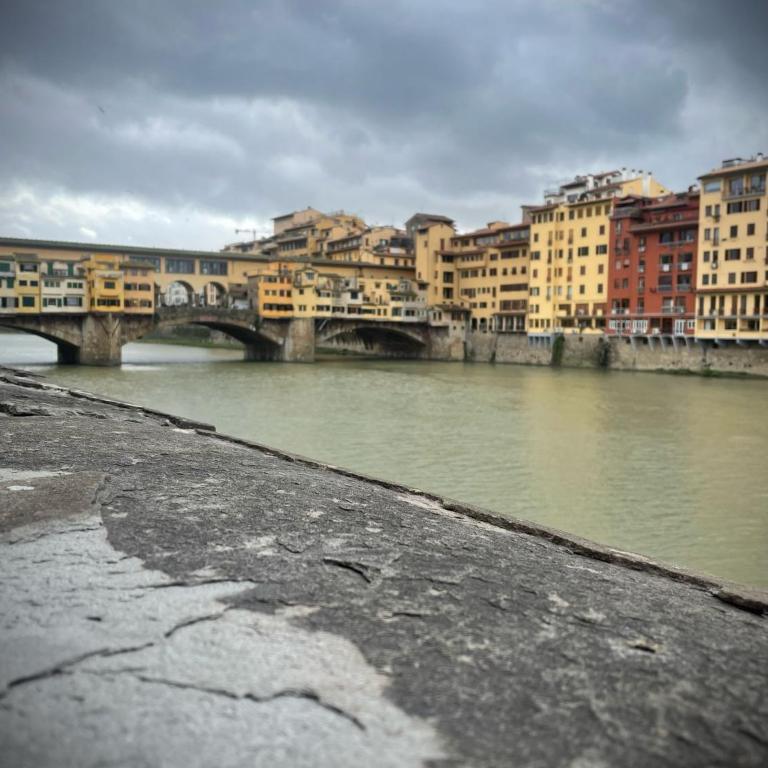 Vintage apartments in the center of Florence - Appartamento con 1 Camera da Letto - 52