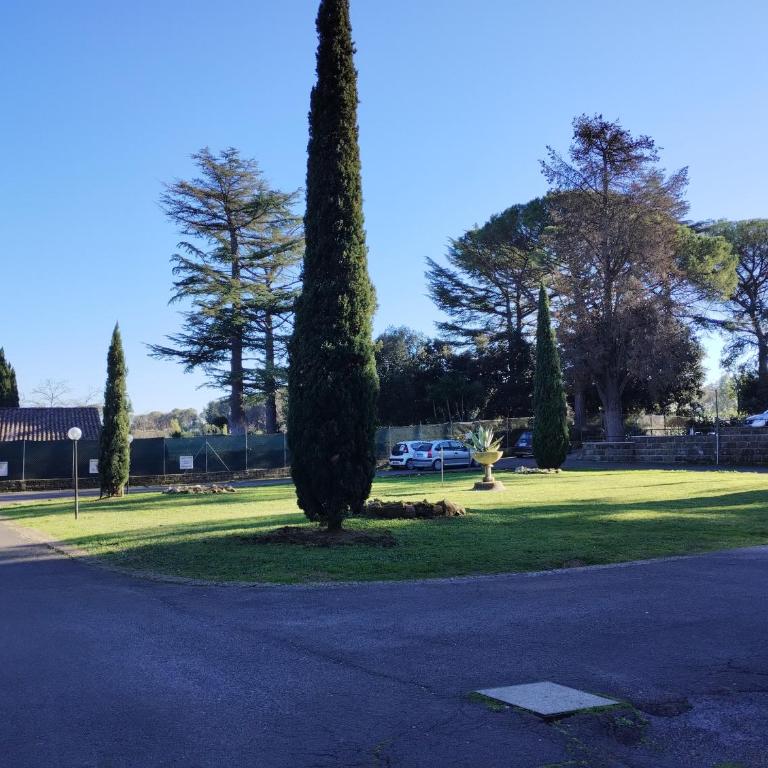 La Casa nel Parco - Stadio Olimpico, Auditorium con posto auto - Appartement 1 Chambre - 25