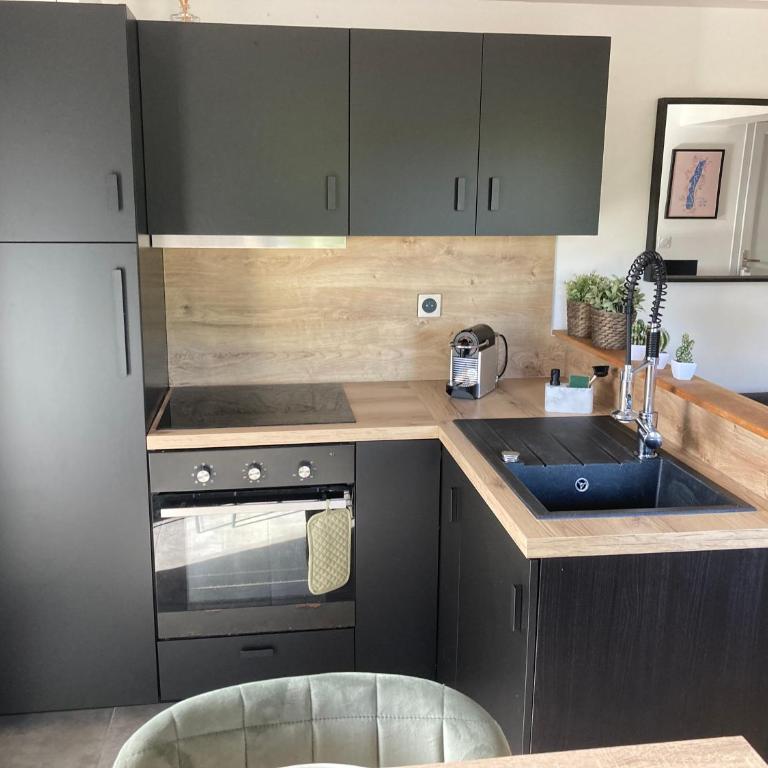 Les Mirandelles - vue/accès lac - Apartment mit 1 Schlafzimmer - 7