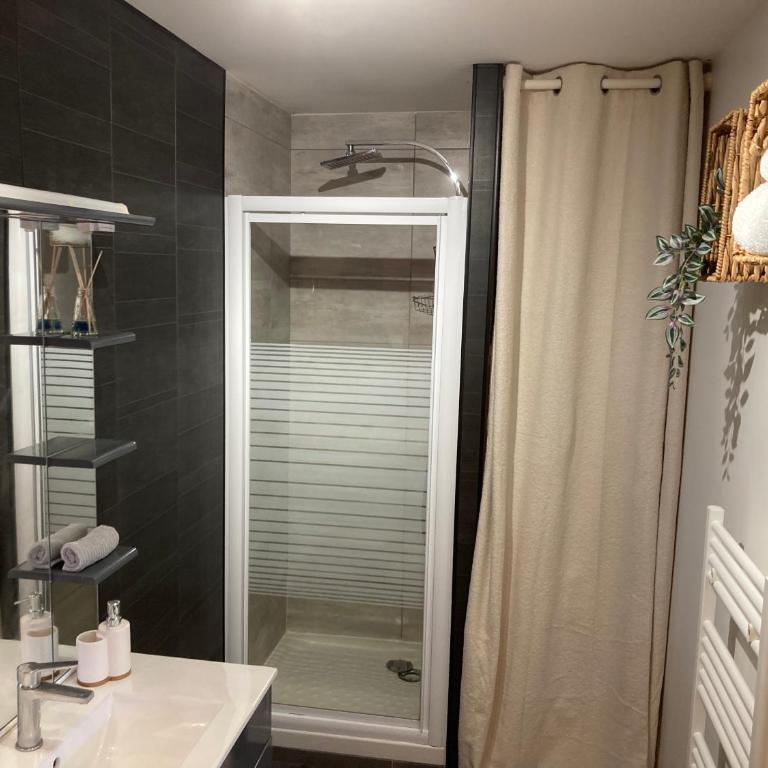 Les Mirandelles - vue/accès lac - Apartment mit 1 Schlafzimmer - 9