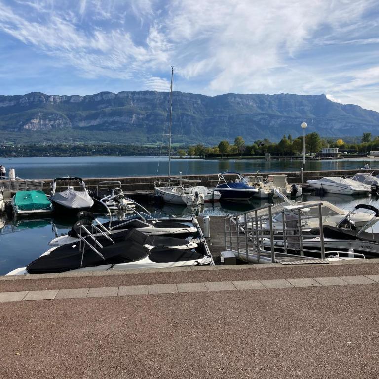 Les Mirandelles - vue/accès lac - Apartment mit 1 Schlafzimmer - 17