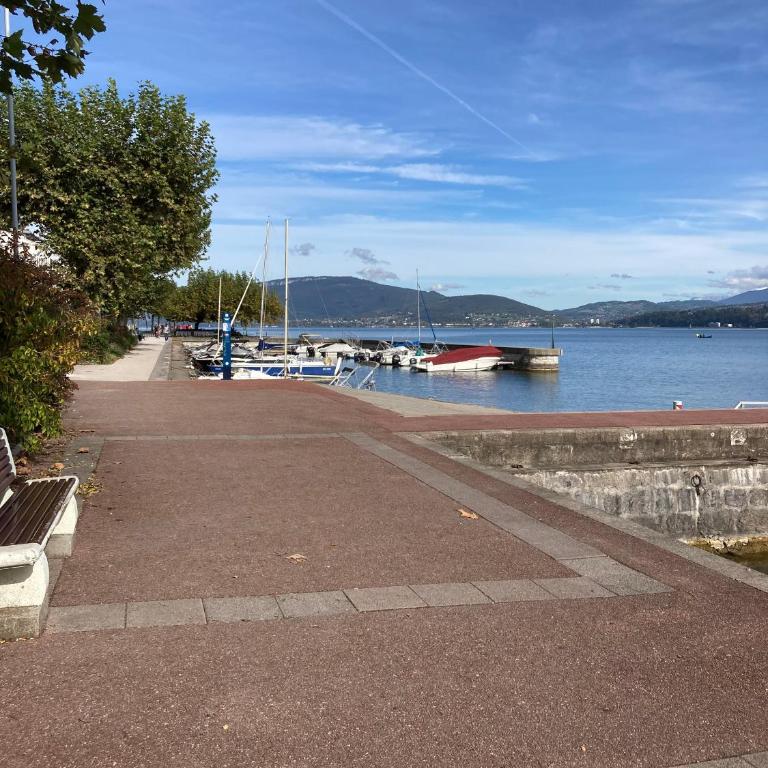 Les Mirandelles - vue/accès lac - Apartment mit 1 Schlafzimmer - 18