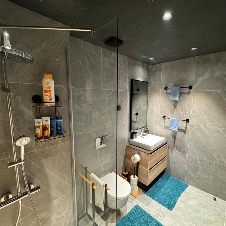 Belgrade Waterfront Luxury Apartment - Apartman sa 1 Spavaćom Sobom - 8