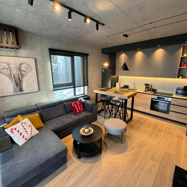 Belgrade Waterfront Luxury Apartment - Apartman sa 1 Spavaćom Sobom - 17