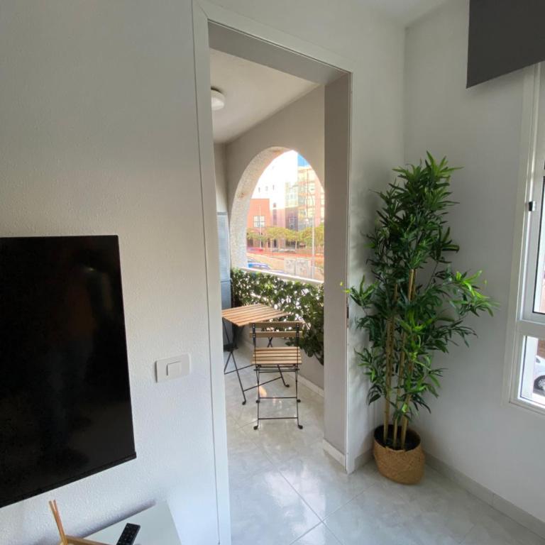 Recova Modern Family - Next to African Market - Apartamento de 2 dormitorios - 15