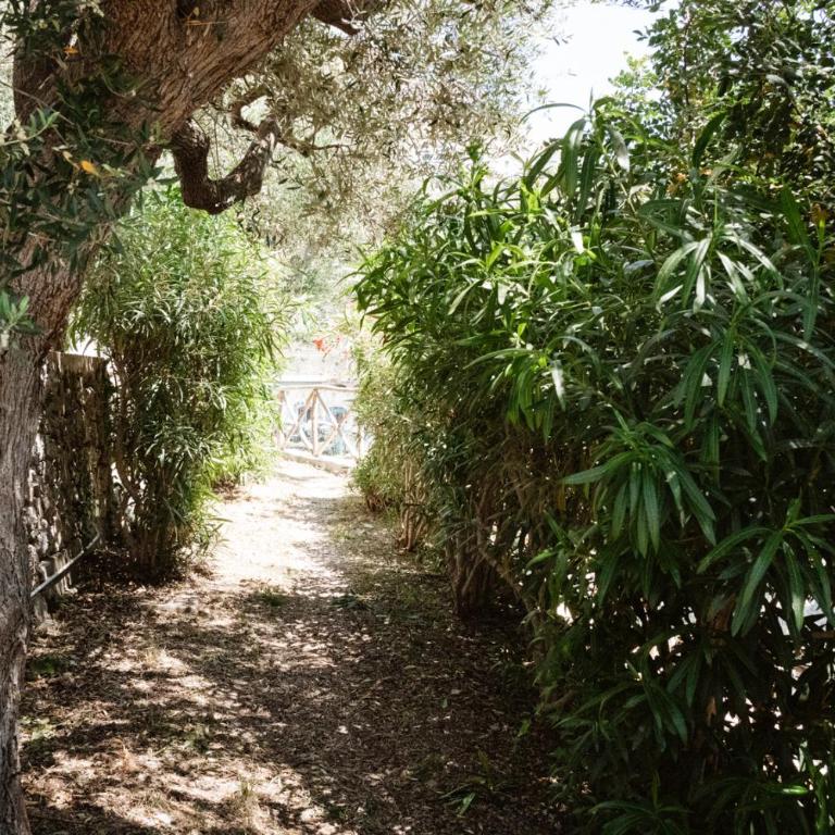 Amalfi Gioia House - Appartamento con 1 Camera da Letto - 17