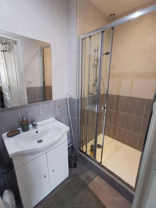 Grand T1 Bis Charme de l'ancien ProxGare/Métro/Bus - One-Bedroom Apartment - 6