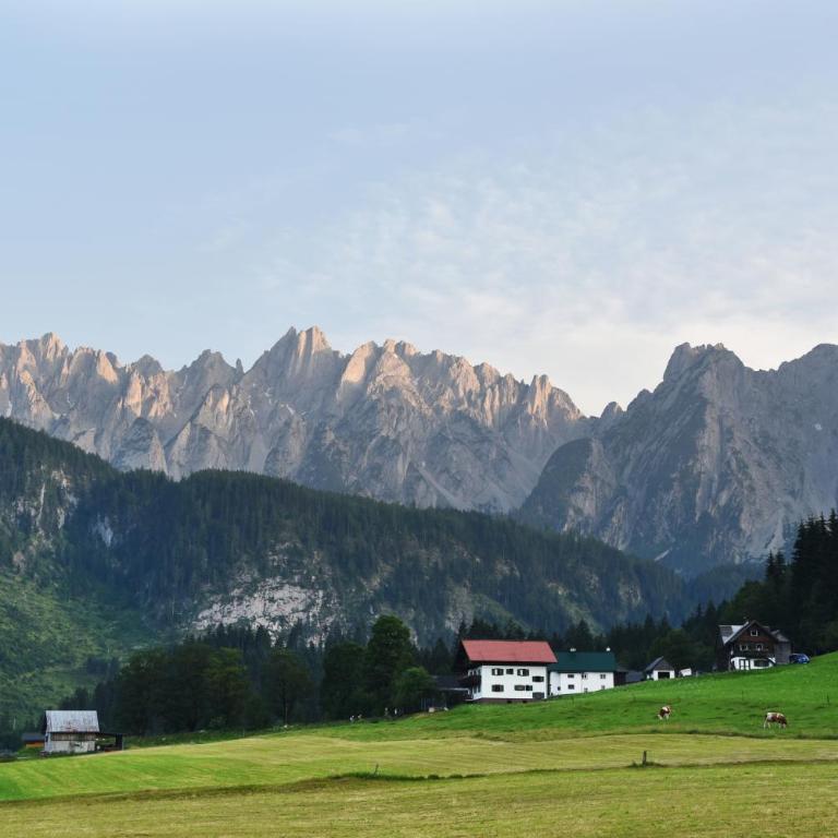Privatpension Pachler - Apartment mit 1 Schlafzimmer - 12