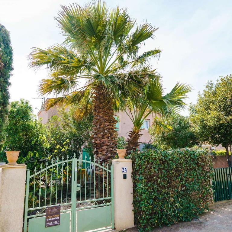 Pavillon 3 pièces avec Terrasse à Gruissan - 4 Couchages, Animaux Admis, Parking Privé - FR-1-409-31 - Villa - 15