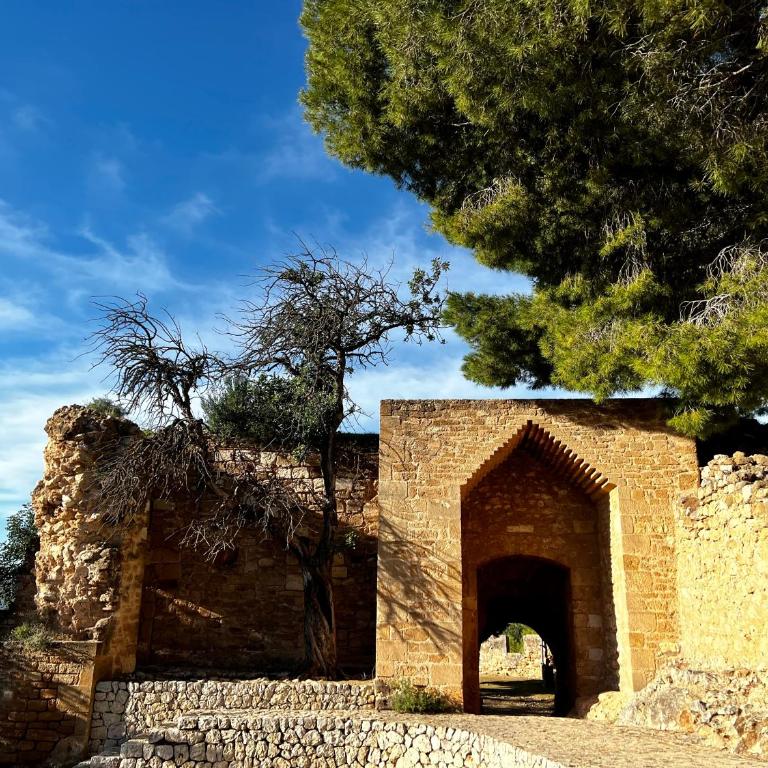 House with swimming pool and amazing sea and mountain views in Montgó, Denia - Casa con 1 dormitorio - 78