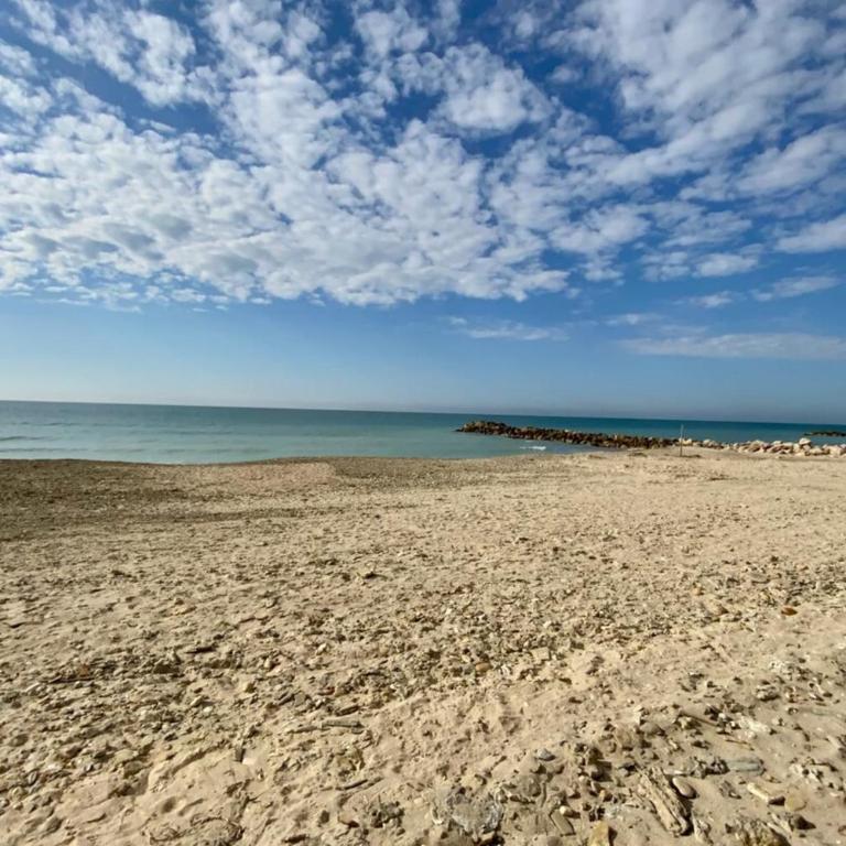 Le Palavasien - Air conditioning and seafront! - Appartement 1 Chambre - 17