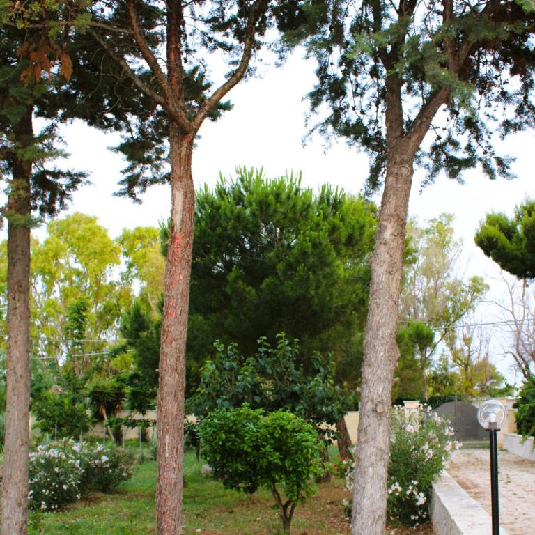 Villa Costanza - Three-Bedroom House - 87
