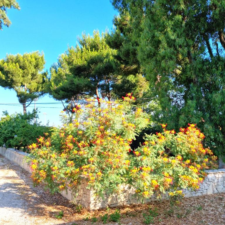 Villa Costanza - Three-Bedroom House - 68