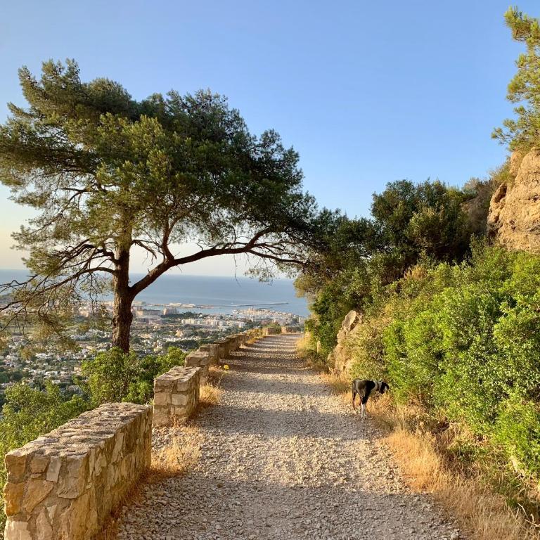House with swimming pool and amazing sea and mountain views in Montgó, Denia - Casa con 1 dormitorio - 67