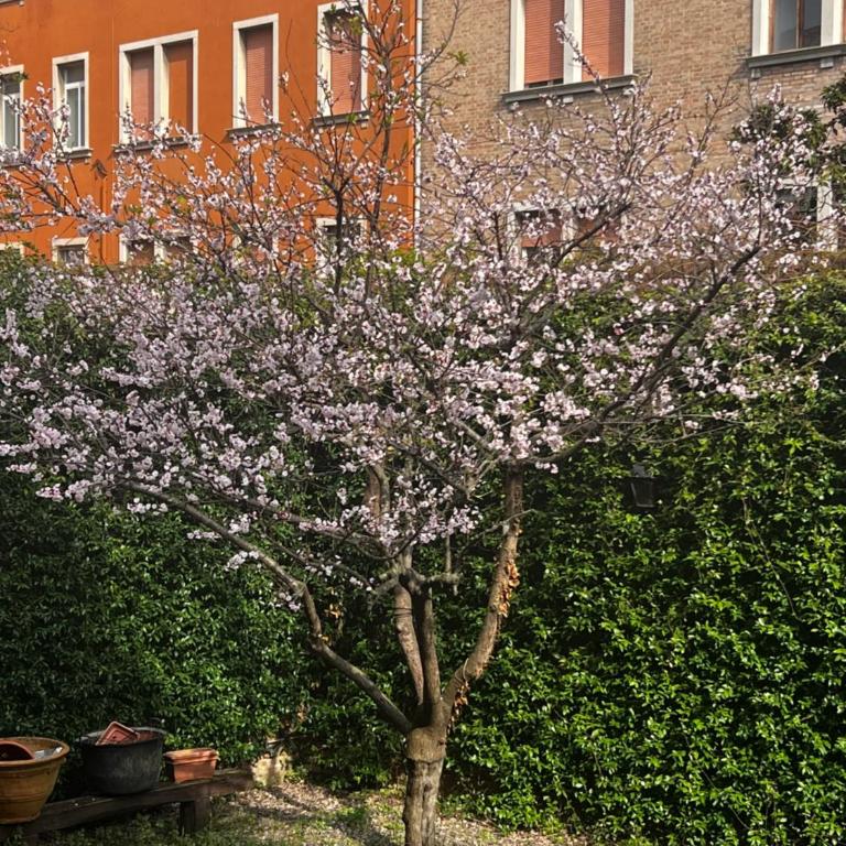 Venice Vibes - Terrace Apartment in Venice - Apartment with Terrace - 24