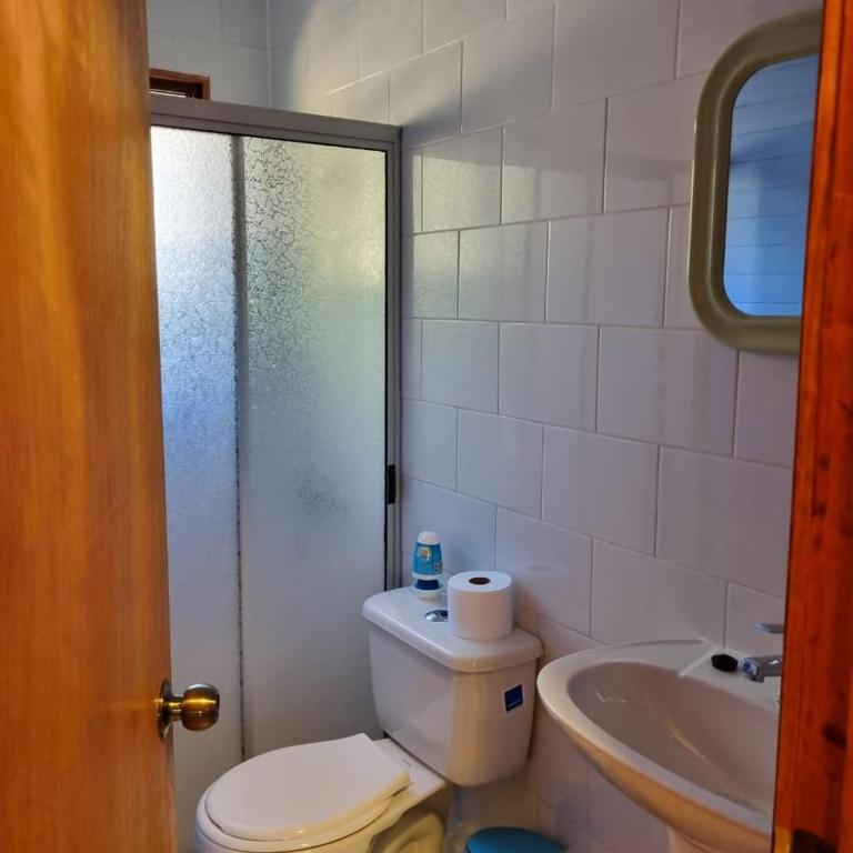 Cabañas Alto Quillay, radal siete tasas - Chalet de 3 dormitorios - 7