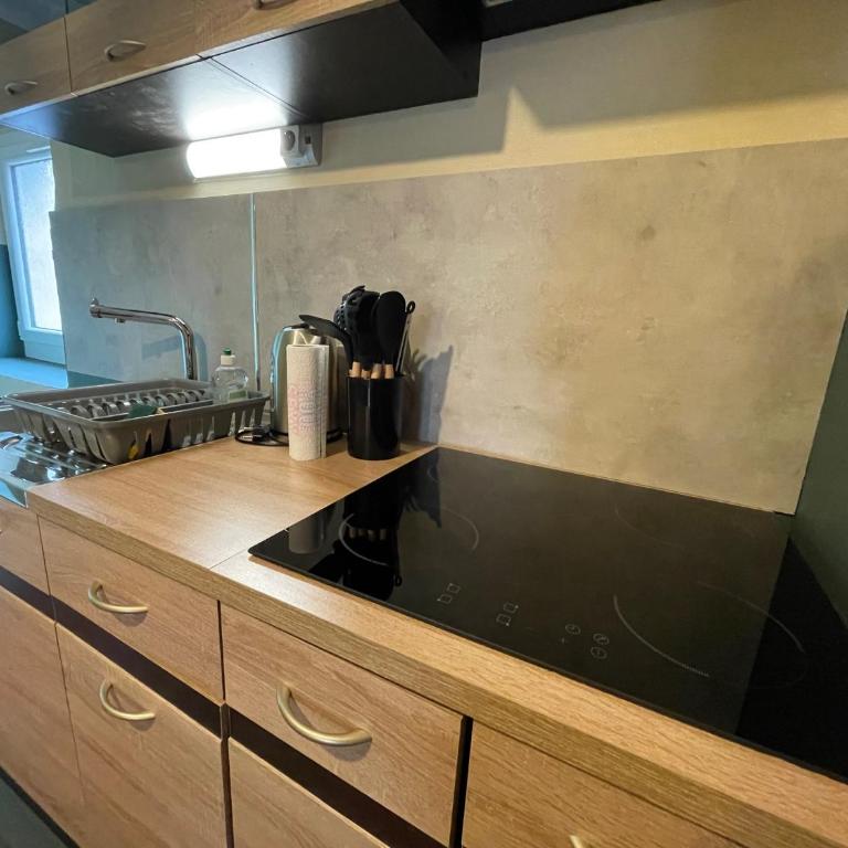 Le Doux Douillet Beauval à 5mn du Zoo - Gite Familial en Hypercentre de Saint-Aignan - Haus mit 1 Schlafzimmer - 31