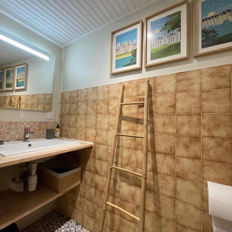 Le Doux Douillet Beauval à 5mn du Zoo - Gite Familial en Hypercentre de Saint-Aignan - Haus mit 1 Schlafzimmer - 34