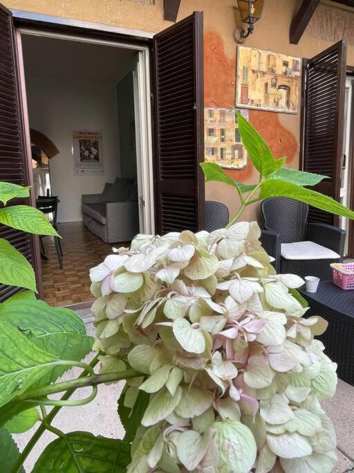La Casa di Brunina Monza-Garage incluso-25min da Milano - Haus mit 2 Schlafzimmern - 28