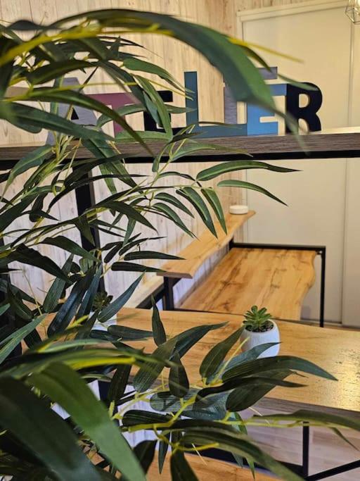 Cosy Loft - Calais - Appartement 1 Chambre - 13