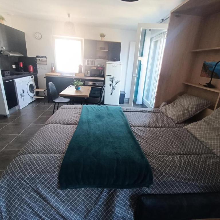 Residence Confidence Urbaine - Coup de coeur pour ce joli logement ! MAE-3154 - Studio - 4