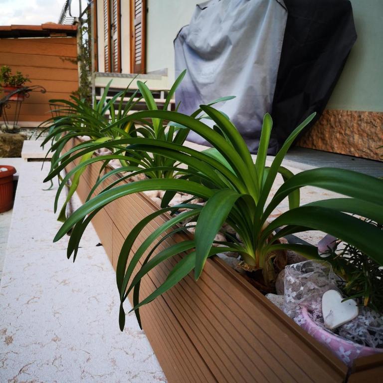 Apartment Sweet Retreat - Appartement Standard - 21