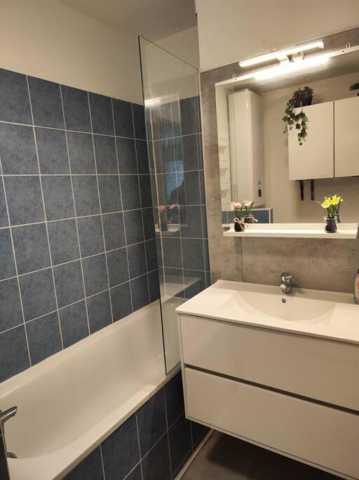 Le Cocon Manceau - Appartamento con 2 Camere da Letto - 40