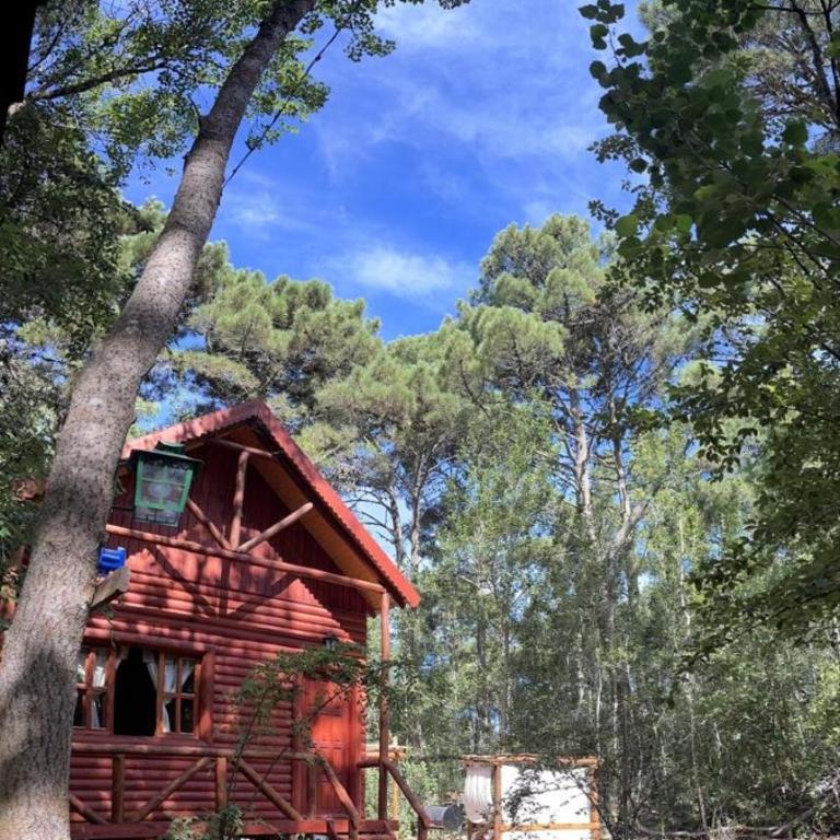 Cabañas Alquimia - Tu lugar de descanso - Casa de 2 dormitorios - 3