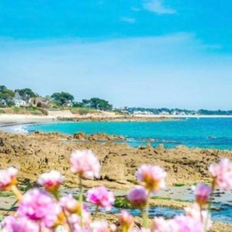 Appartement de Standing à 100m des Plages - Apartment mit 2 Schlafzimmern - 20