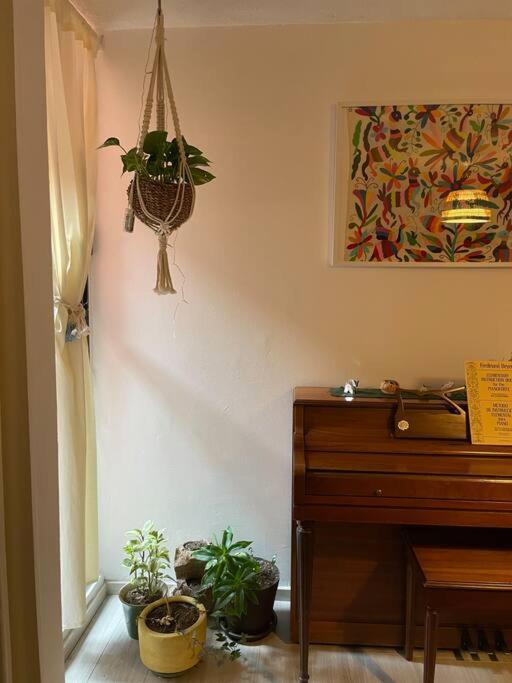 Espacioso departamento con estudio en el corazón de la Condesa - Apartamento de 2 dormitorios - 12