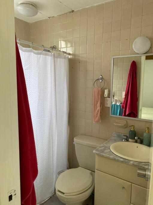 Espacioso departamento con estudio en el corazón de la Condesa - Apartamento de 2 dormitorios - 19