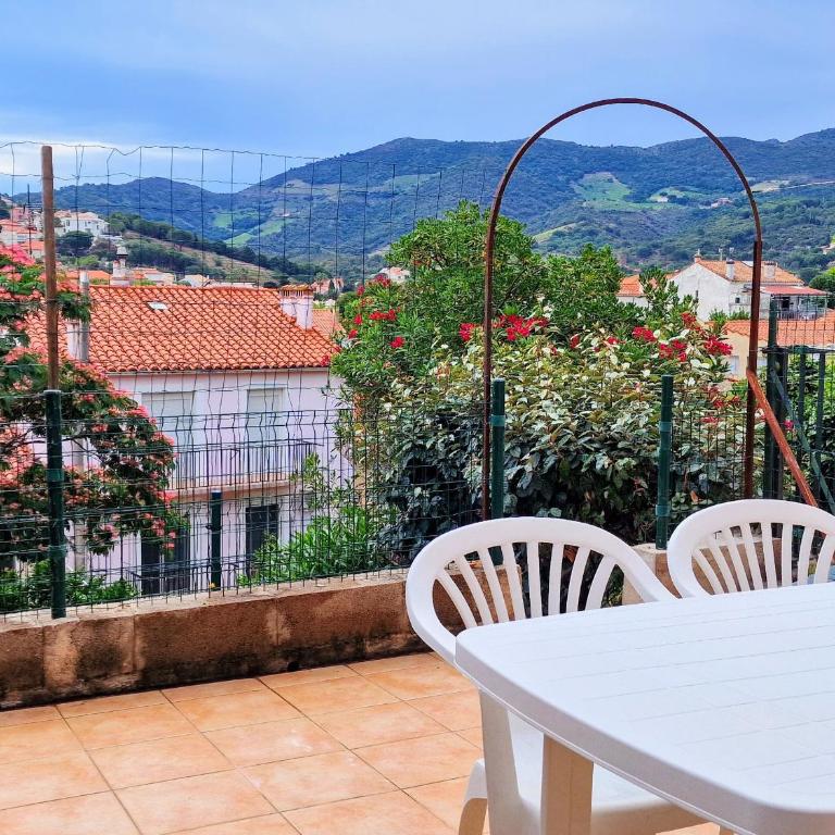Studio cabine avec terrasse et parking à Banyuls-sur-Mer - FR-1-309-277 - Studio - 13