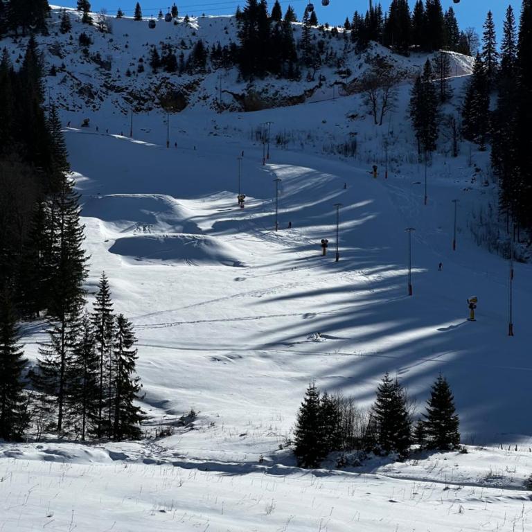 Winter Fairytale, ski in-ski out posebna ponuda! - One-Bedroom Apartment - 14