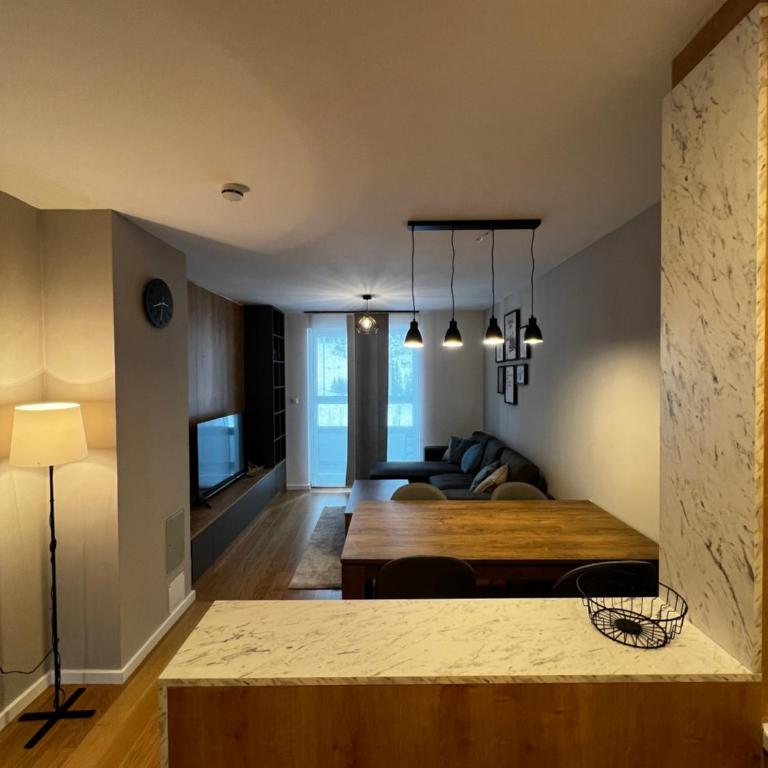 Winter Fairytale, ski in-ski out posebna ponuda! - One-Bedroom Apartment - 15