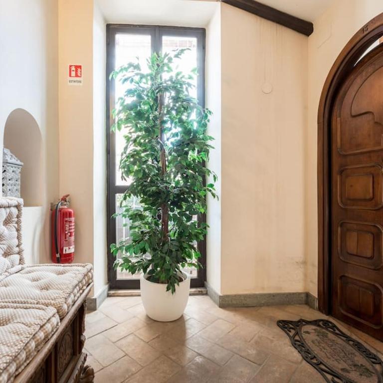 Piazza Navona - Penthouse in the heart of Rome - Appartamento con 2 Camere da Letto - 33