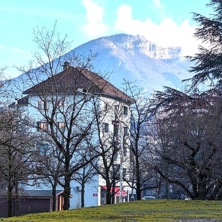 Merci Annecy - Parking et Proche du Lac - Apartment mit 1 Schlafzimmer - 35