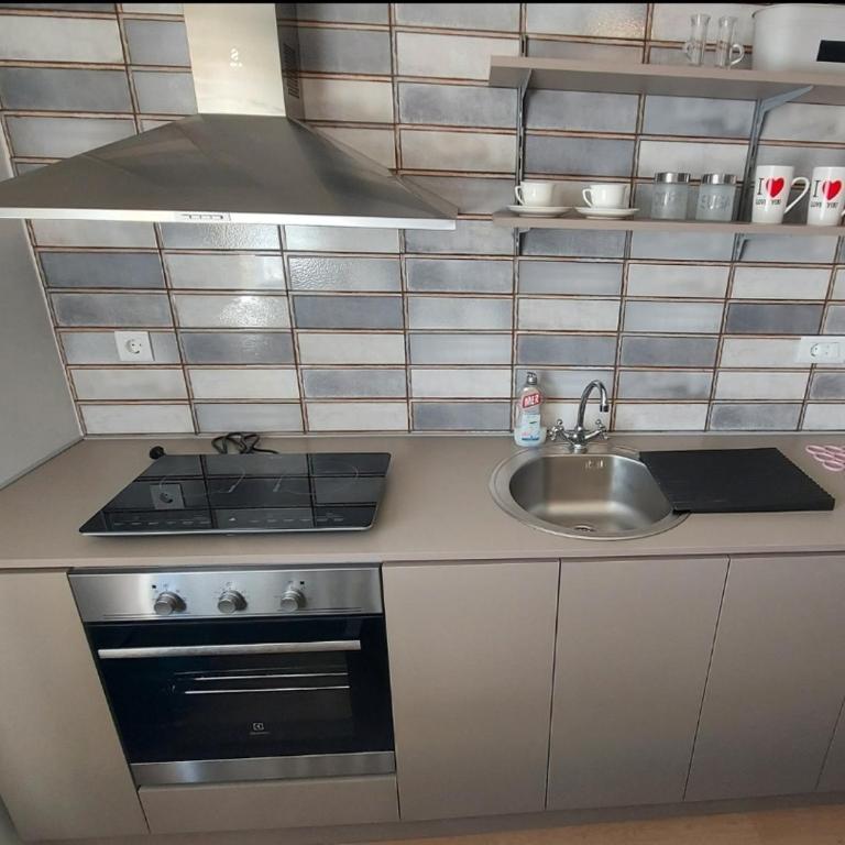 Old but gold house - Apartman sa 1 Spavaćom Sobom - 8