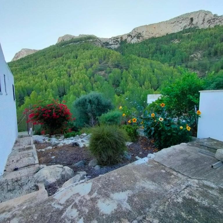 Casa Montgó - Casa de 2 dormitorios - 27