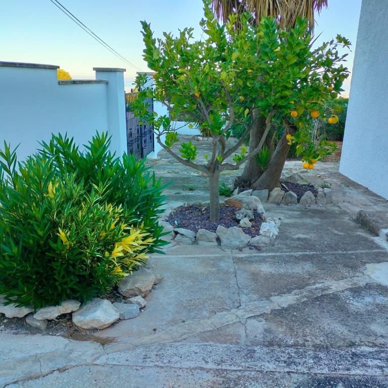 Casa Montgó - Casa de 2 dormitorios - 28