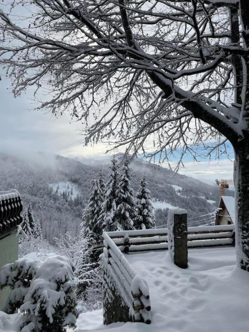 Planinska kuća Savić, Kopaonik - Two-Bedroom House - 17