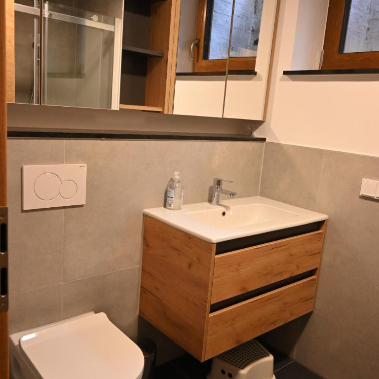 Nicky apartments and studios - Apartment mit Terrasse - 4