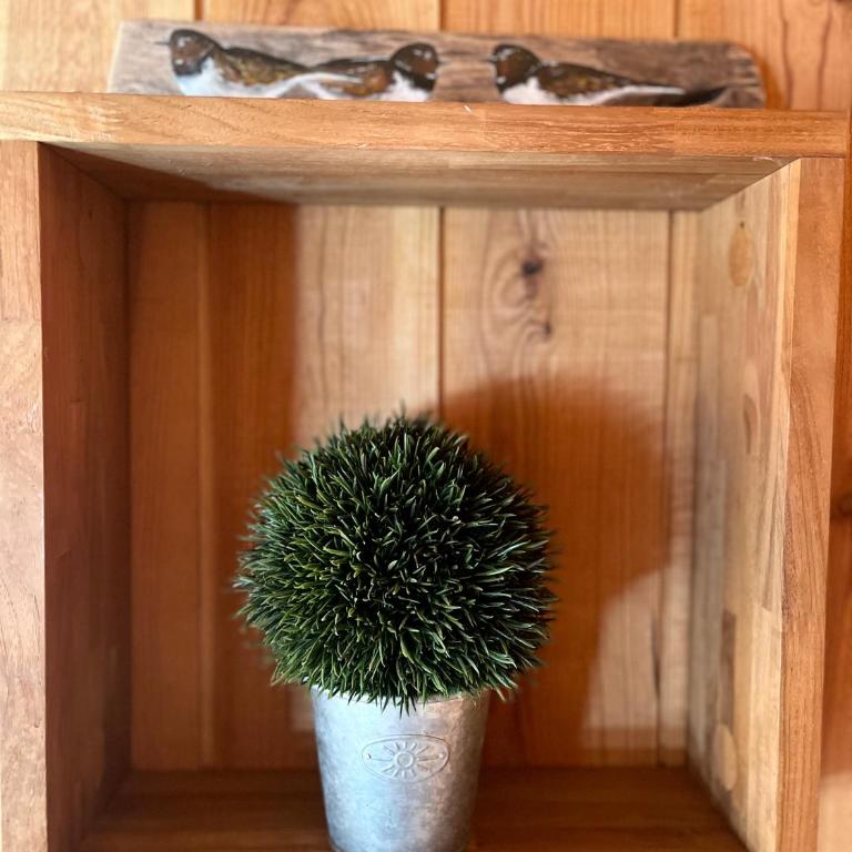 La cabane du Broustic - Chalet 1 Chambre - 15