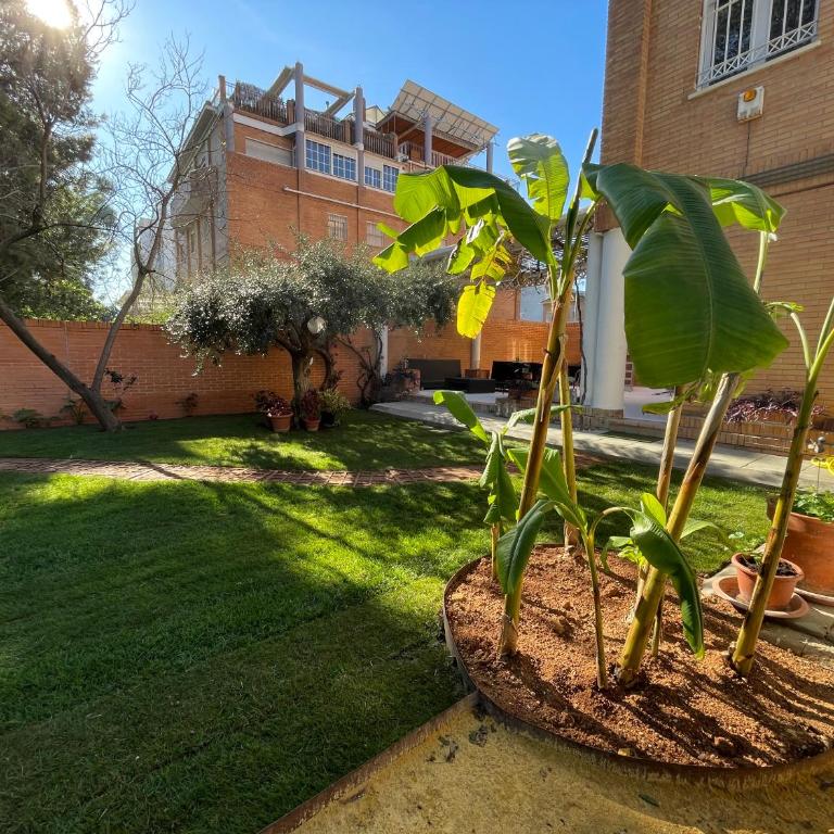 El Jardin de la Palmera con 2 Parking - Casa de 3 dormitorios - 18