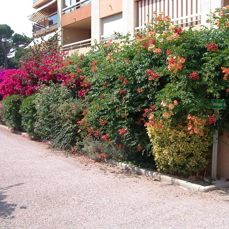 Hyères Port : T2 avec Loggia, WIFI, Parking, Climatisation, 4 Pers., Proche Plaisance - FR-1-335-164 - Apartment - 7