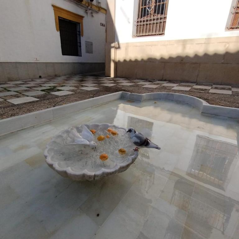 Guimar Momentos, vívelos en Córdoba - Apartamento de 2 dormitorios - 12