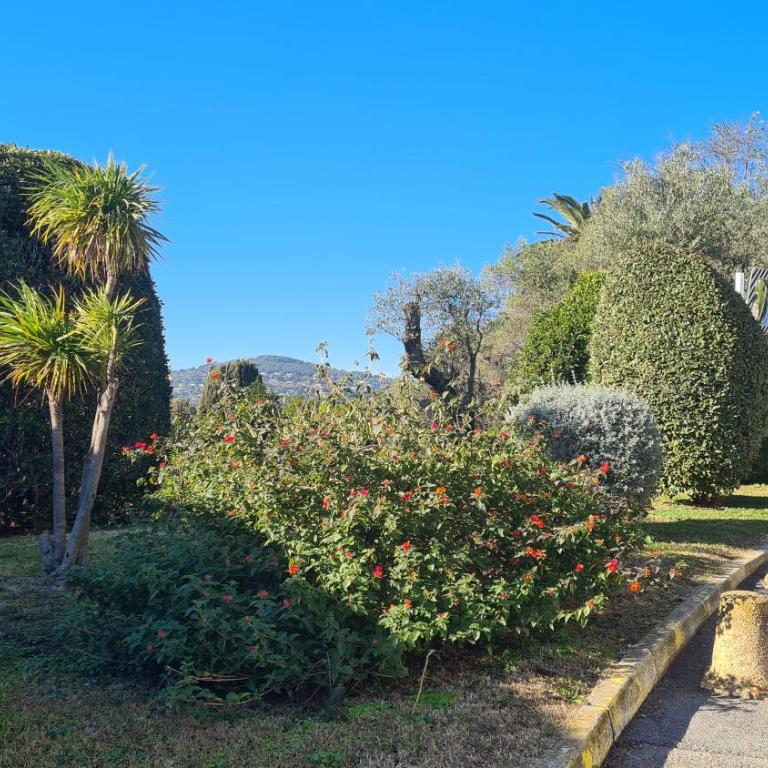 Charmant T2 de vacances, Antibes - Apartment mit 1 Schlafzimmer - 25