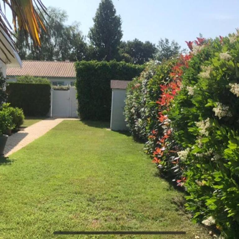 Maison moderne avec piscine - Villa - 19